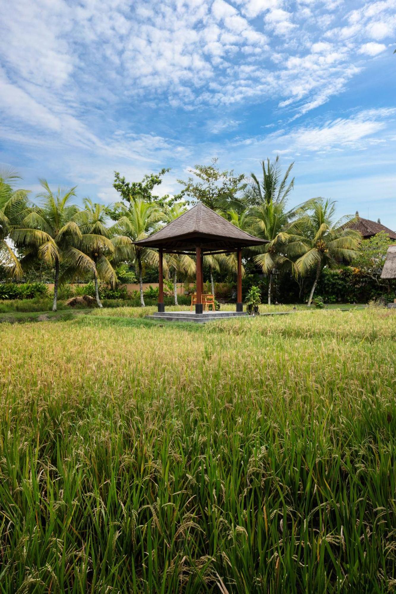 Svarga Bebek Villas Ubud Buitenkant foto